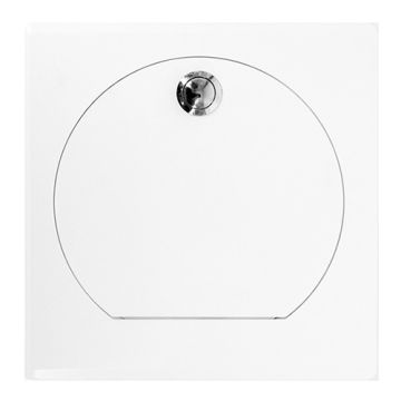 Einwurftüre Edelstahl eckig / rund (250mm)